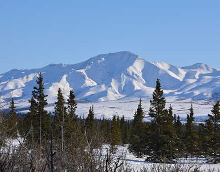 Alaska Railroad Denali in a Day Winter Vacation Package